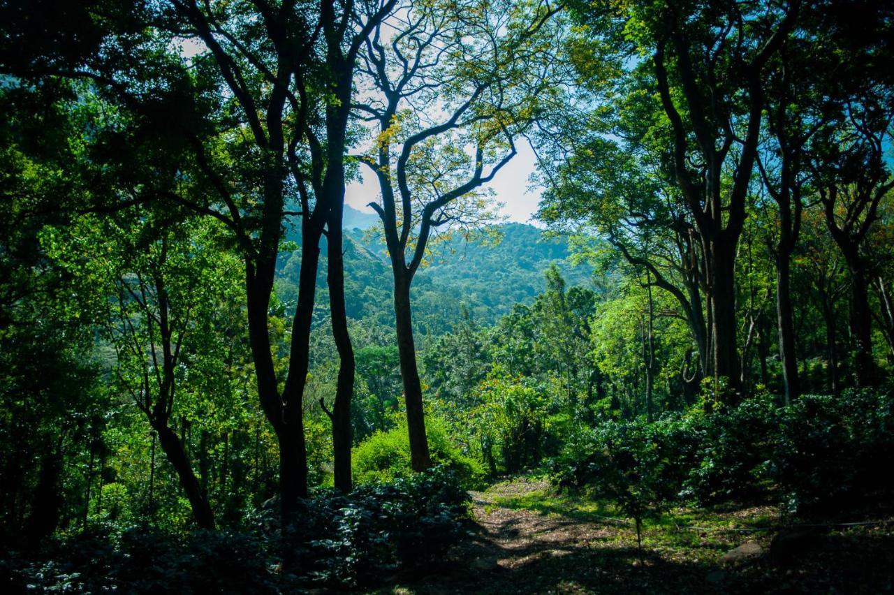 Nature Tones By Brdge Hospitality Maraiyur ภายนอก รูปภาพ